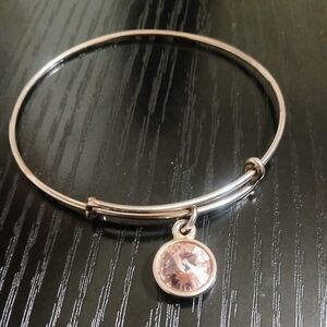 Alex and Ani Silver Bracelet with Pink Charm